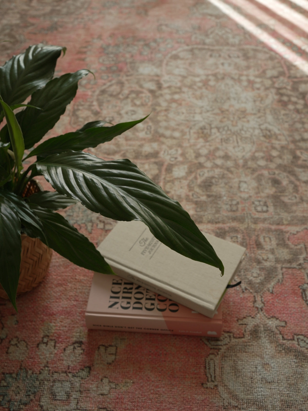 Vintage rug Iclal Vera